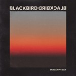 BLACKBIRD BLACKBIRD - Tangerine Sky