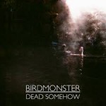 Birdmonster - Singles Project - Dead Somehow