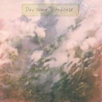 Day Wave - We Try But We Don't Fit In