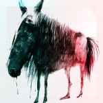 Minihorse - More Time - FYea