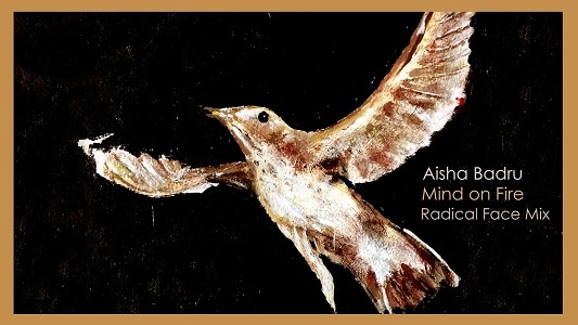 Paladares delicados: Mind On Fire de Aisha Badru (Radical Face Mix) (2017)