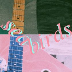 Pizzagirl - Seabirds