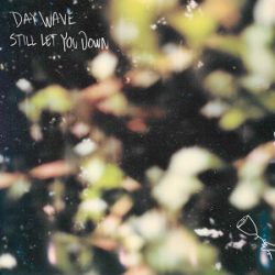 Day Wave - Still Let You Down