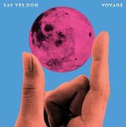 Say-Yes-Dog-Voyage-Lies
