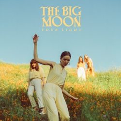 The-Big-Moon-Your-light