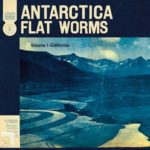Flat-Worms-Antarctica