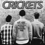 Crickets - Elastic - Top Agosto 2020